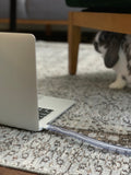 Rabbit Safe Chew Resistant Cord Protector + Bini Personal Headshot
