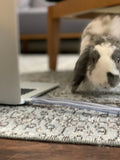 Rabbit Safe Chew Resistant Cord Protector + Bini Personal Headshot
