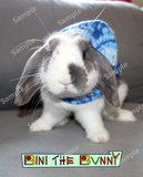 Headshot with Bini the Bunny Logo (Framed or Unframed)