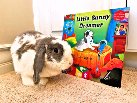 Little Bunny Dreamer - Book by Bini the Bunny and Shai Lighter - Hardcover
