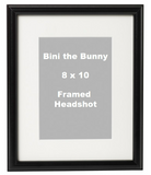 Frame for Head Shot