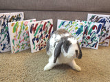 Bini the Bunny - Online Store