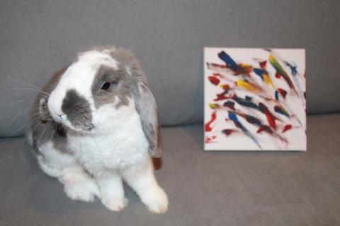 Value Combo:  Bini Small Painting + Headshot