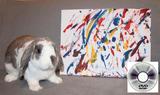 Large Bini the Bunny Painting with Optional DVD