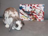 Unframed Medium Bini the Bunny Original Painting